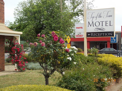 Top Of The Town Motel - Adwords Guide 3