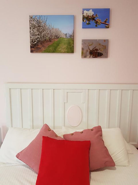 Town House Motor Inn Young - Adwords Guide 1