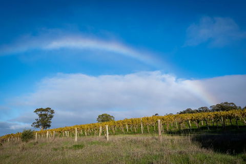 Triple Creek Guest House - Barossa Region - Adwords Guide 2