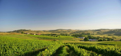 Turners Vineyard Motel - Adwords Guide 0