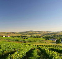 Turners Vineyard Motel - Adwords Guide