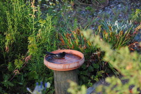 Tweed Valley Lodge - Adwords Guide 2