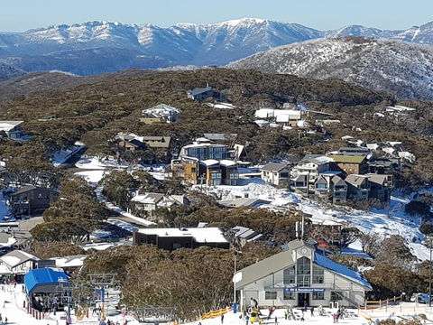 Twin Towers 504 B - Adwords Guide 1