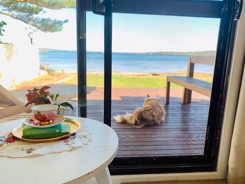 Vandy's Shack At Mount Dutton Bay - Ideal For Couples And Small Families - Adwords Guide 3