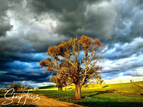 Wantana Cottage Farmstay - Adwords Guide 2