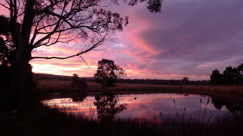 Wind Song Bed & Breakfast - Adwords Guide 0