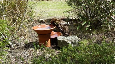 Wind Song Bed & Breakfast - Adwords Guide 3