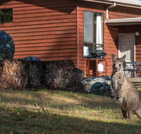 Wonderland Cottages - Adwords Guide