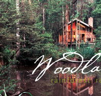 Woodlands Rainforest Retreat - Adwords Guide