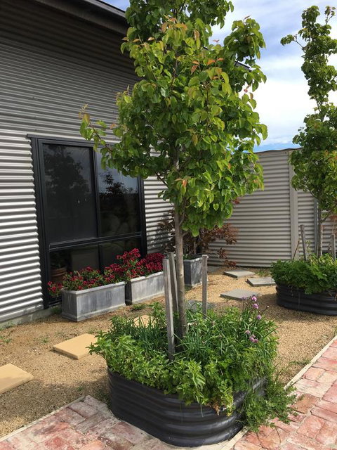 Woolamai Dreaming - Adwords Guide 2