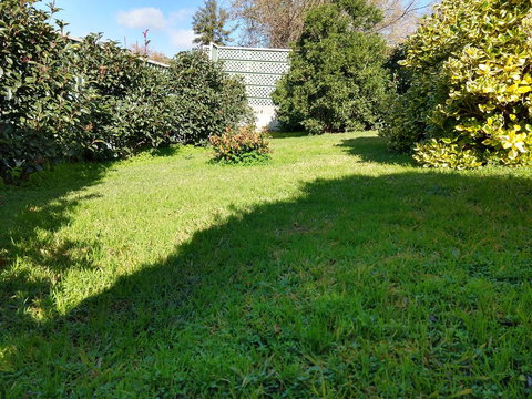 Young Goldrush Motel - Adwords Guide 2