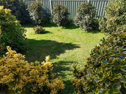 Young Goldrush Motel - Adwords Guide 3