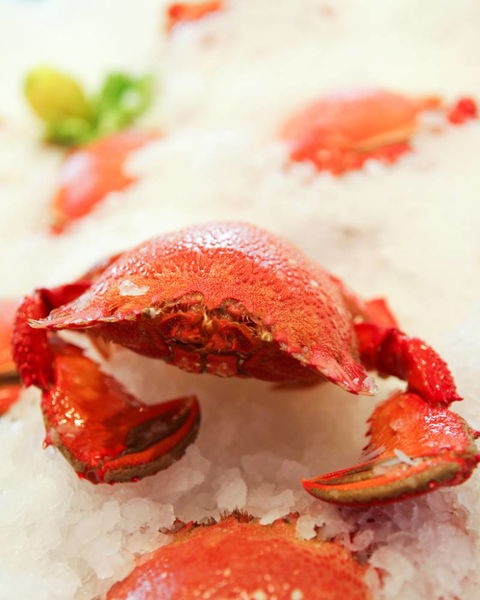 Point Cartwright Seafood Market - Adwords Guide 2
