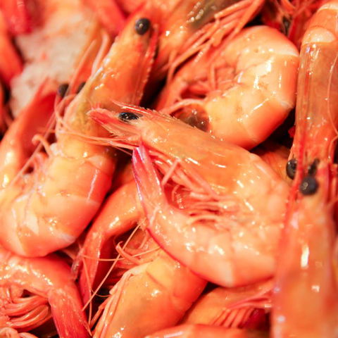 Point Cartwright Seafood Market - Adwords Guide 4