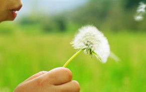 Bokarina QLD Adwords Guide