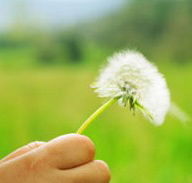 Green Beginnings Child Care Centre  Kindy - Adwords Guide