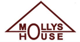 Molly's House - Adwords Guide 0