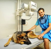 Pacific Vetcare - Adwords Guide