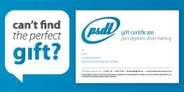 Port Stephens Driver Training - Adwords Guide 0