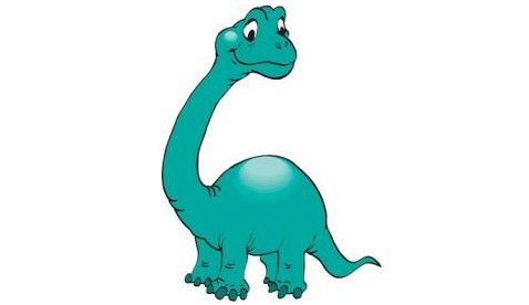 Bronte NSW Adwords Guide