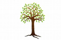 Kadina Child Care Centre