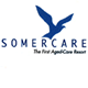 Somerville WA Adwords Guide