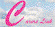Carers Link Pty Ltd Wynnum