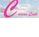Carers Link Pty Ltd - Adwords Guide