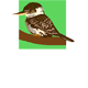 Little Kookas Kingsthorpe Childcare - Adwords Guide