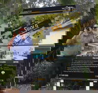 Century 21 Platinum AgentsBilly Mitchell - Adwords Guide