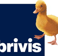 Sapphire City Solar  Electrical - Adwords Guide