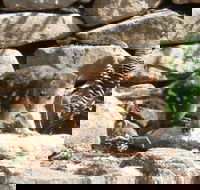 Jenolan Caves House - Adwords Guide