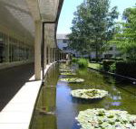 ANU University House Hotel - Adwords Guide
