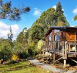 Southern Forest Accommodation - Adwords Guide