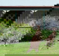 Cedar Lodge Cabins - Adwords Guide