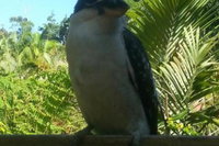 Tropic Oasis Holiday Villas