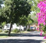 BIG 4 Hay - Adwords Guide