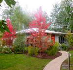 Dalrymples Guest Cottages - Adwords Guide