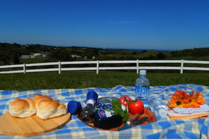 Sea Elephant TAS Adwords Guide