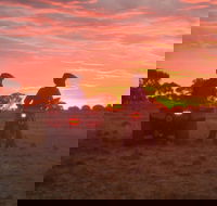 Corynnia Station - Adwords Guide