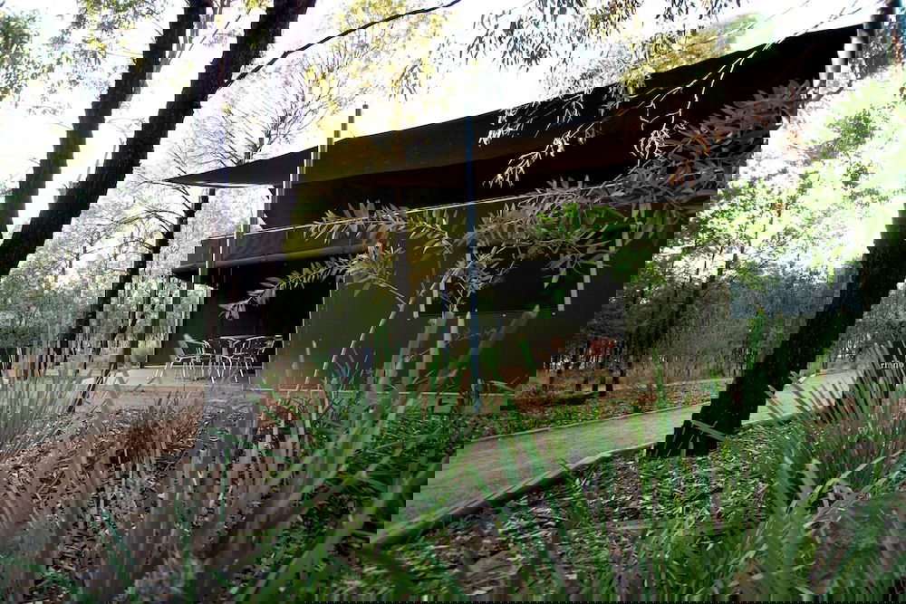 Mogriguy NSW Adwords Guide