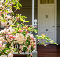 Apple Blossom Cottage - Adwords Guide