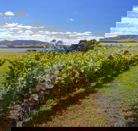 Riversdale Estate Cottages - Adwords Guide
