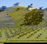 Blue House at Mountainside Wines - Adwords Guide