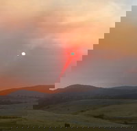 Snowy Mountains Resort and Function Centre - Adwords Guide