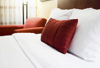Otway Paradise Cottages Apollo Bay