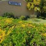 Esk Motel Esk