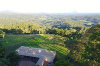Maleny Orchard