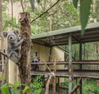 Springwood Meditation Vacation Center - Adwords Guide