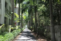 Serenity at the Beach